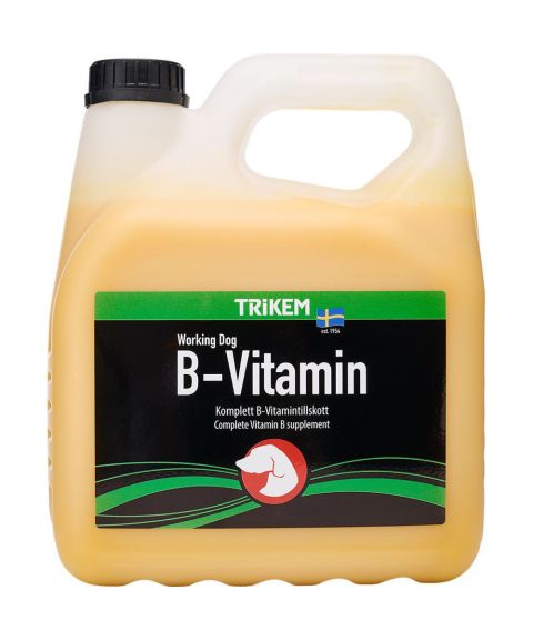 TRIKEM - B-Vitamin 3l